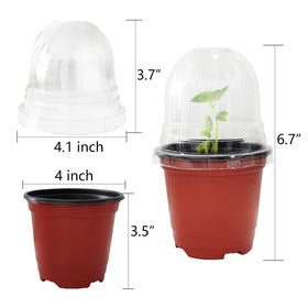 RooTrimmer red pots with clear lids enable easy climate control.