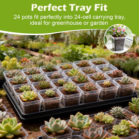 RooTrimmer reusable propagation pots support indoor and outdoor gardening.