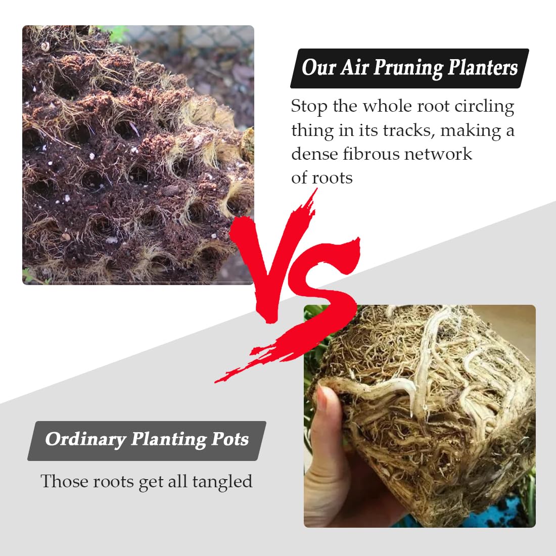 RooTrimmer roots control planter prevents root circling for stronger roots