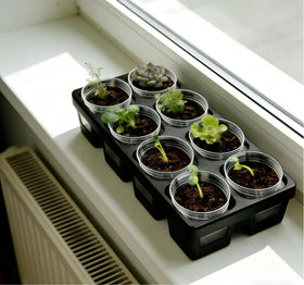 RooTrimmer 2.5-inch round seedling pots ready for transplanting