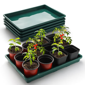 RooTrimmer seed starter tray 5-pack in green for indoor seed starting.