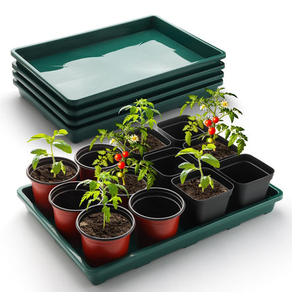 RooTrimmer seed starter tray 5-pack in green for indoor seed starting.