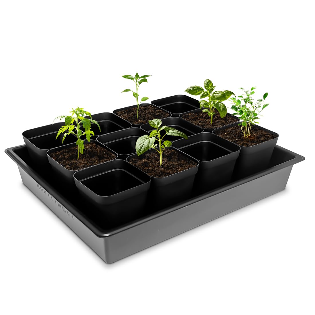 RooTrimmer seed starter tray five-pack in-use setup for microgreens indoors.
