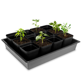 RooTrimmer seed starter tray five-pack in-use setup for microgreens indoors.