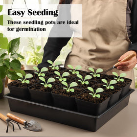RooTrimmer seedling tray in greenhouse setup with soil containment.