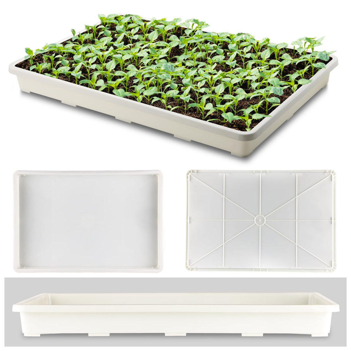 RooTrimmer seed starting tray with holes-free design for versatile indoor gardening.