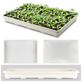 RooTrimmer seed starting tray with holes-free design for versatile indoor gardening.