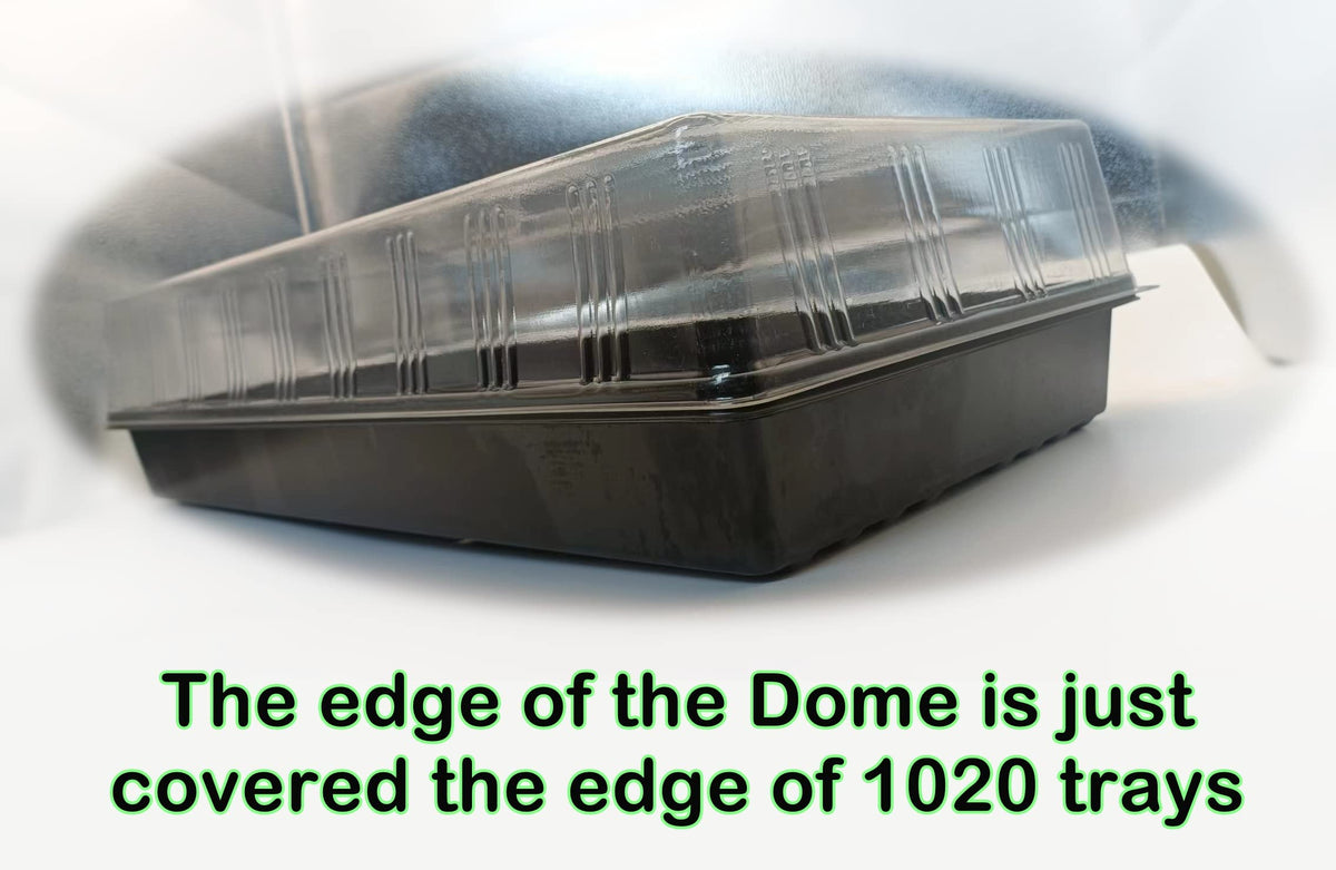 RooTrimmer seed tray dome keeps temperature stable for healthier seed-to-plant transition.