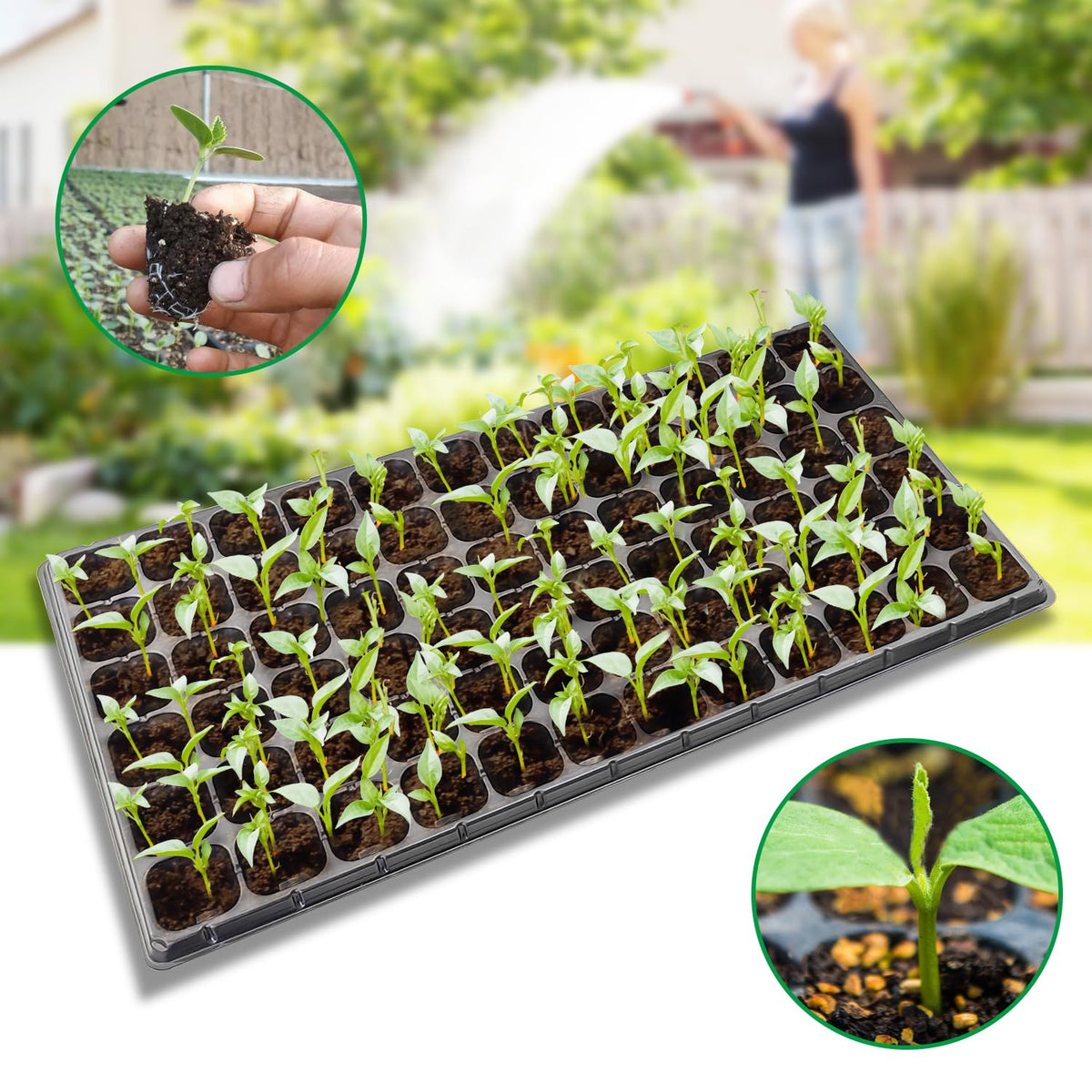 RooTrimmer seed trays feature drainage ports to prevent overwatering