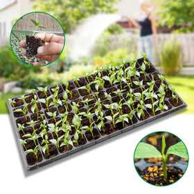 RooTrimmer seed trays feature drainage ports to prevent overwatering