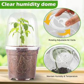 RooTrimmer seedling dome visibility — monitor growth without removing the lid