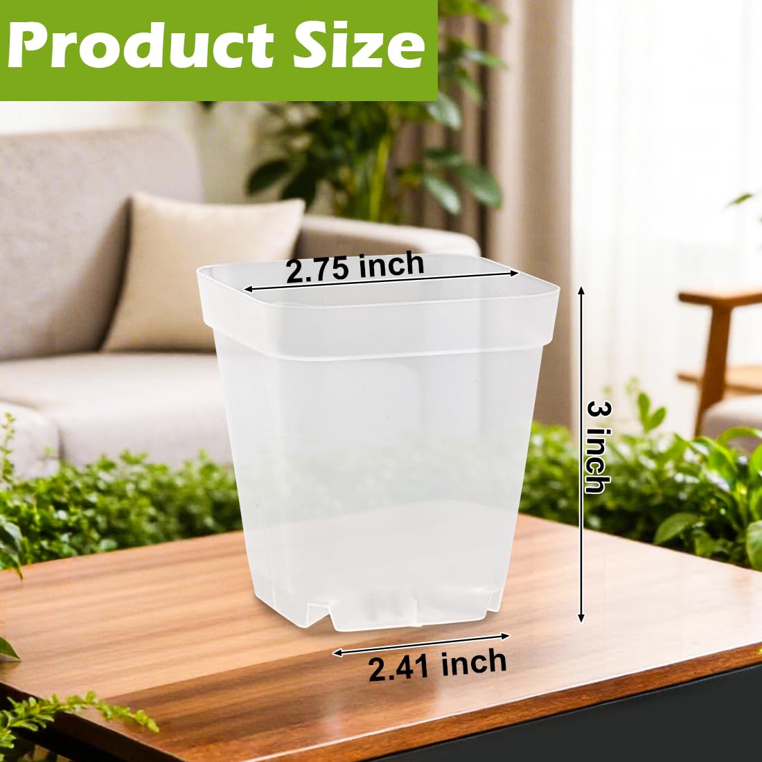 RooTrimmer seedling pots with clear walls let you monitor roots easily.