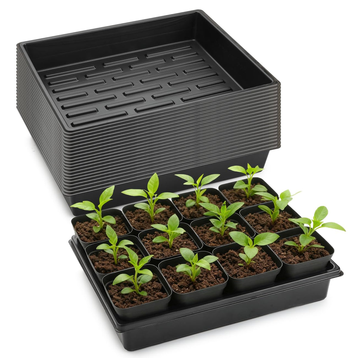 RooTrimmer seedling-tray-20-pack ideal for organized germination and easy transport.