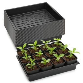 RooTrimmer seedling-tray-20-pack ideal for organized germination and easy transport.