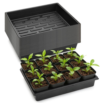 RooTrimmer seedling-tray-20-pack ideal for organized germination and easy transport.