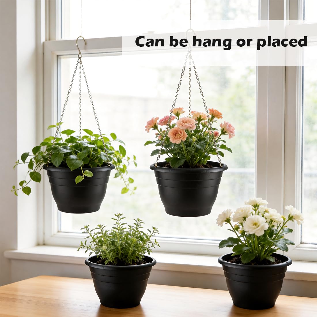 RooTrimmer self-watering hanging basket supports plant care