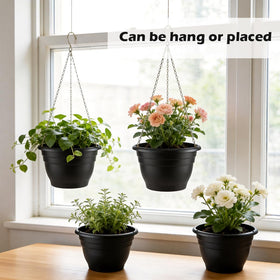 RooTrimmer self-watering hanging basket supports plant care