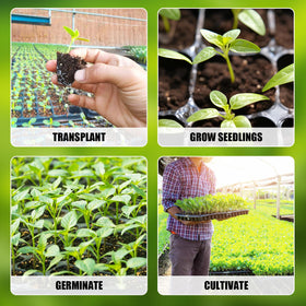 RooTrimmer shallow-depth tray enables quick seedling growth and gentle transplanting.