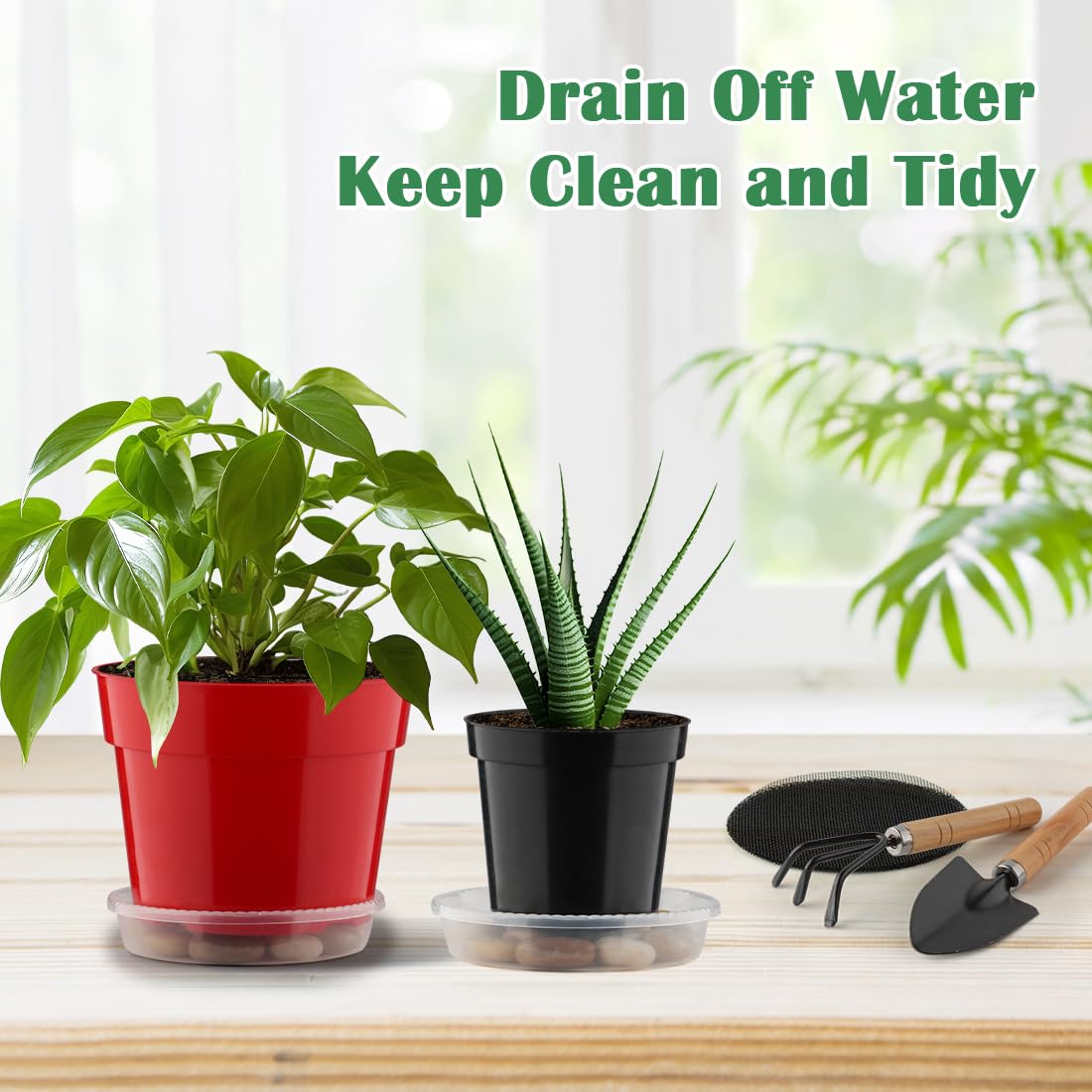 RooTrimmer small indoor plants in 6-inch pots for compact home gardens.