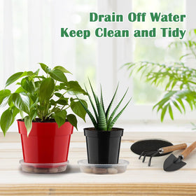 RooTrimmer small indoor plants in 6-inch pots for compact home gardens.