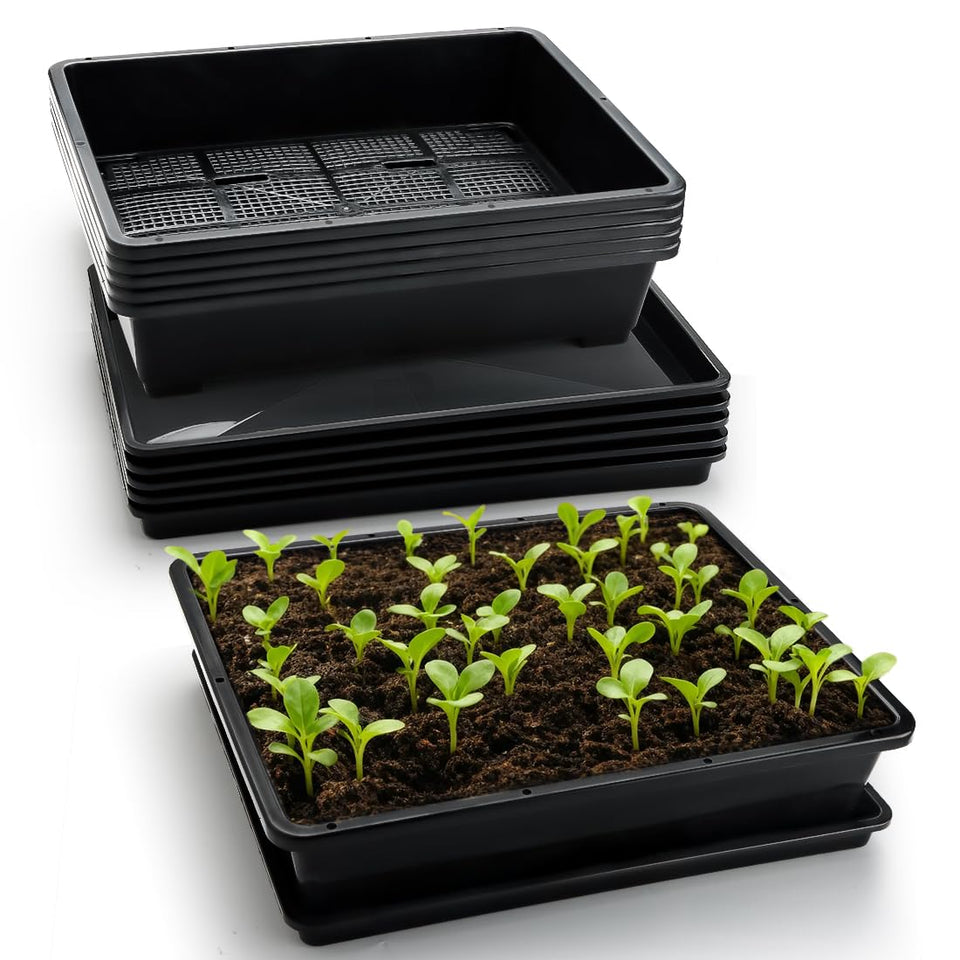 RooTrimmer soil-blocking tray for microgreens setup with smooth edges