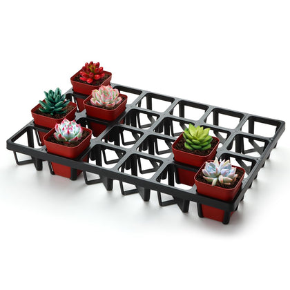 RooTrimmer square nursery pot tray with 24 cells in use for easy transport
