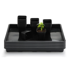 RooTrimmer square 2.8in pots for easy transplant and orderly seedlings.