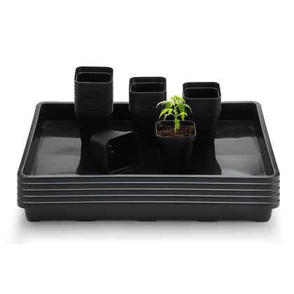 RooTrimmer square 2.8in pots for easy transplant and orderly seedlings.