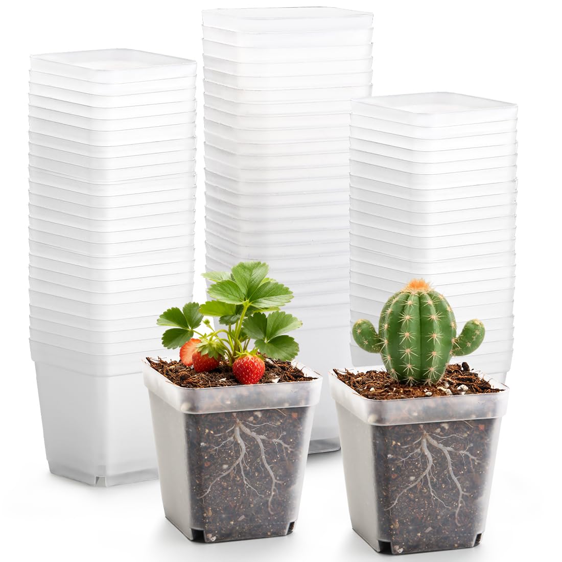 RooTrimmer square pots with drainage holes support healthy root drainage.