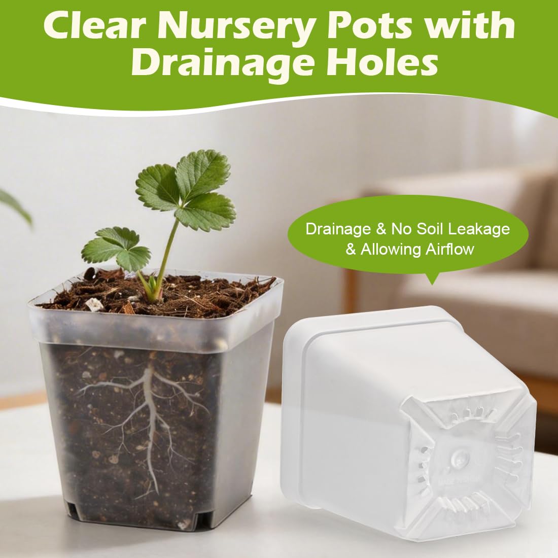 RooTrimmer square nursery pots maximize tray space for dense plantings.