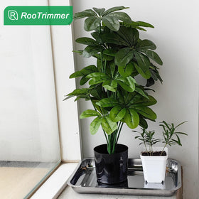 RooTrimmer stainless steel tray suitable for wheatgrass or home potting tasks
