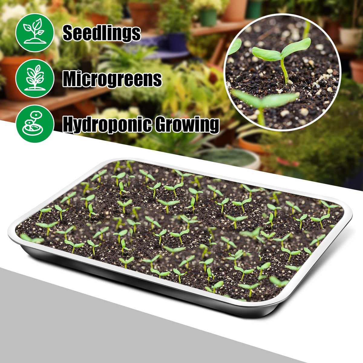 RooTrimmer tray with microplants, herbs, and lettuce in compact setup