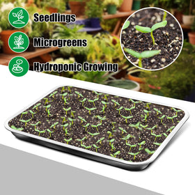 RooTrimmer tray with microplants, herbs, and lettuce in compact setup