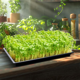 RooTrimmer TD538 20-pack stacked trays show durability in use