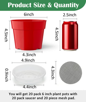 RooTrimmer thick pot saucer set provides leak-free water containment for tidy setups.