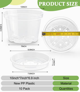 RooTrimmer transparent plant pot shows moisture and water level at a glance