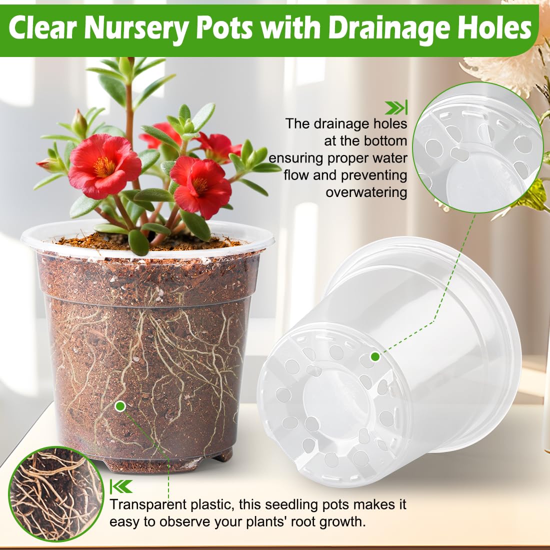 RooTrimmer transparent seed starter pot for monitoring soil moisture without disturbance.