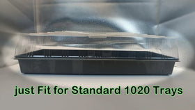 Transparent cover helps manage condensation and reduces irrigation frequency for busy gardeners.