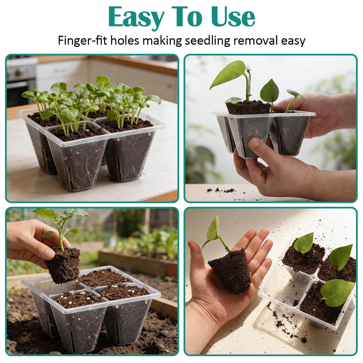 RooTrimmer demonstrates easy transplant with no tools needed for seedling release.