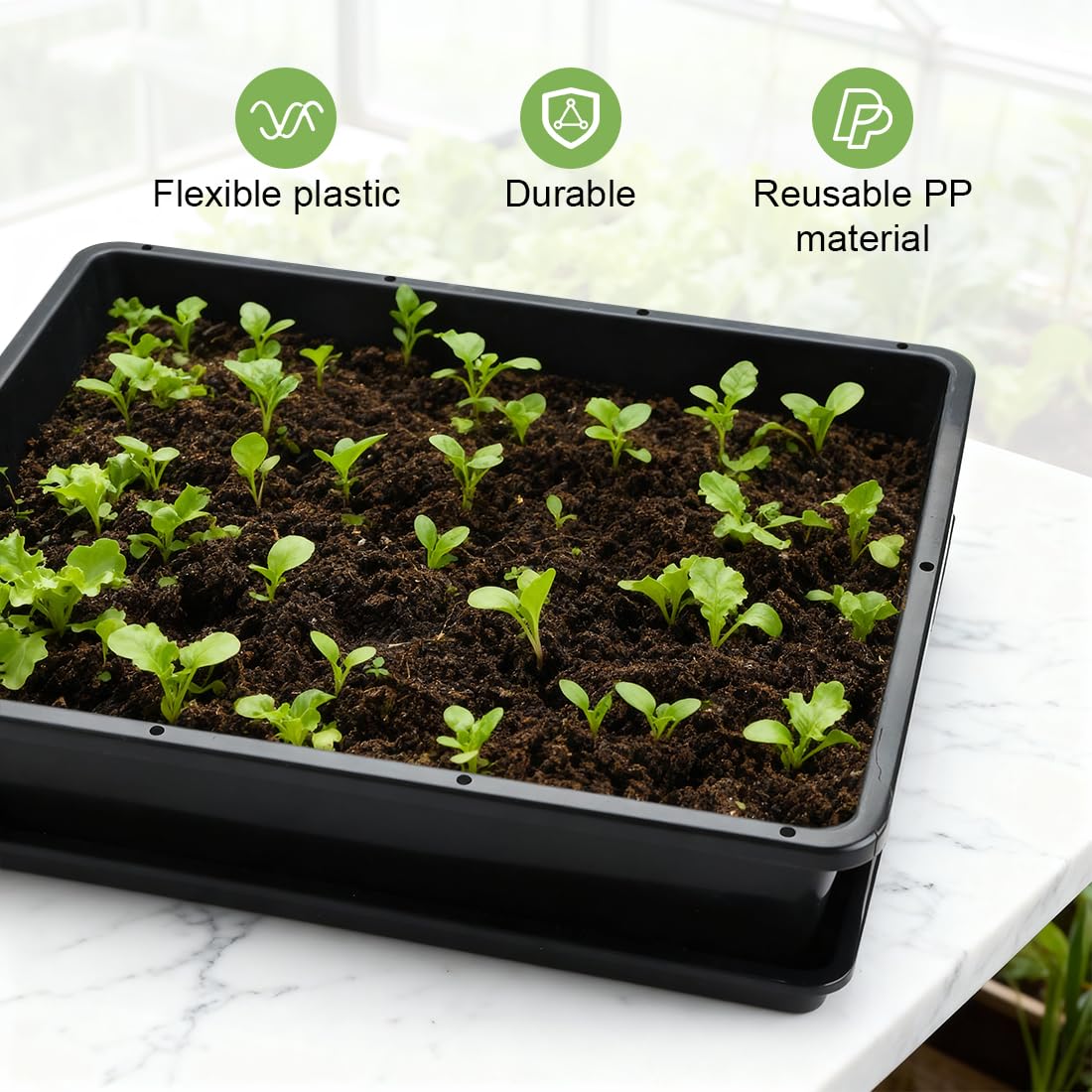 RooTrimmer tray close-up with rounded edges to prevent root disturbance