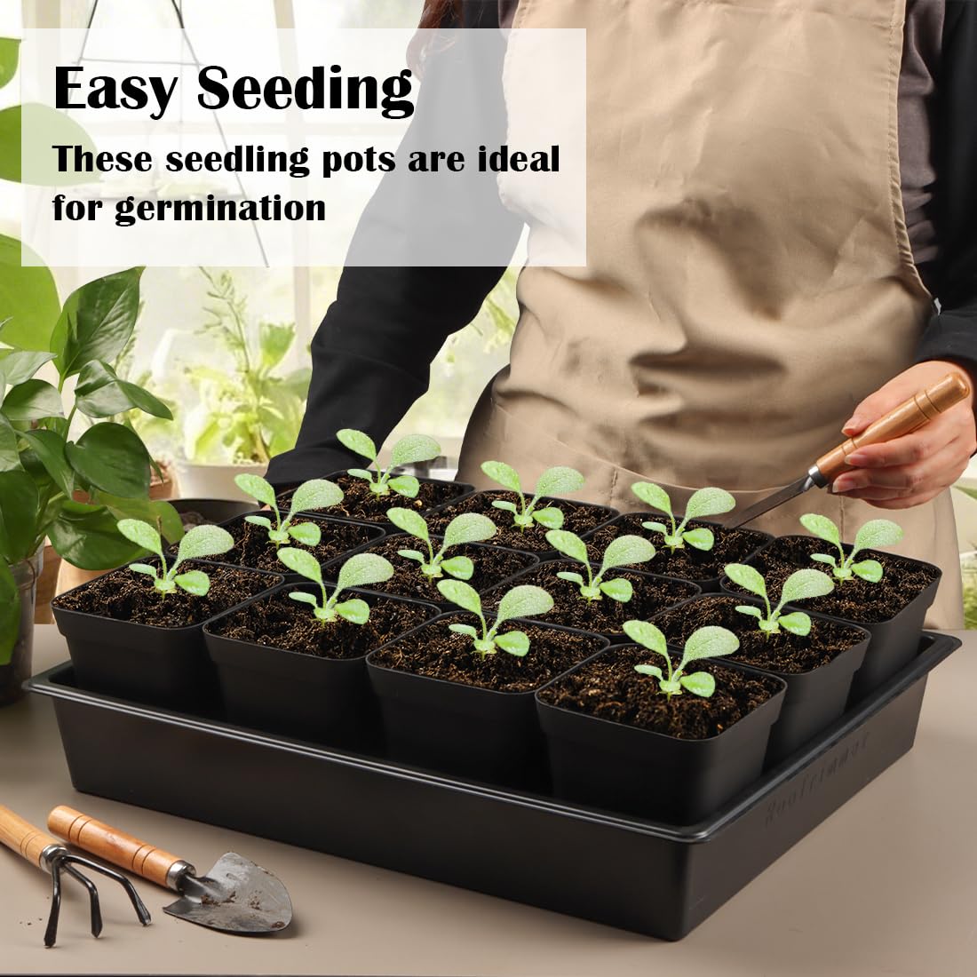 RooTrimmer trays 16.5-by-13.2-by-2.8 inch for versatile growing