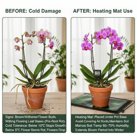 Rootrimmer supports indoor gardens, hydroponics, and year-round plant care
