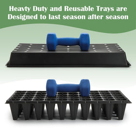 RooTrimmer tray setup showing efficient watering space for hydration.