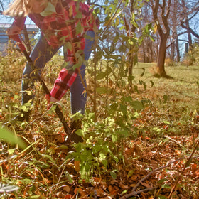 Root Slayer RS223 Nomad Mini ergonomic handle improves control while digging.