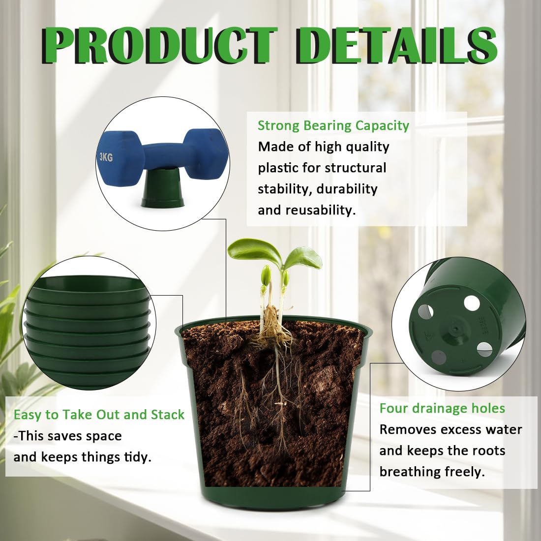 RootTrimmer 2.5-inch pot with drainage holes supports healthy root growth.