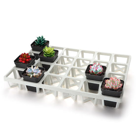 RooTrimmer 5-pack trays top view showing secure 24-cell layout for easy pot transport