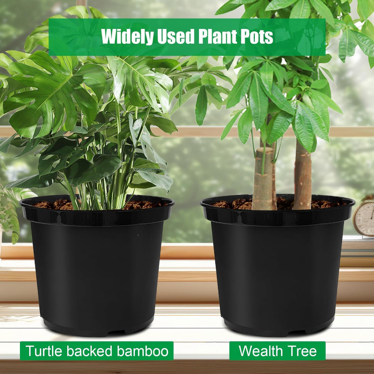 RooTrimmer 5G pot suitable for both indoor and outdoor gardening setups