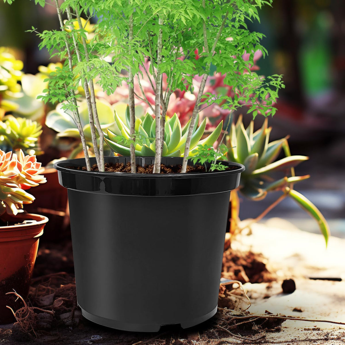 RooTrimmer 12-inch pot being moved easily due to lightweight construction