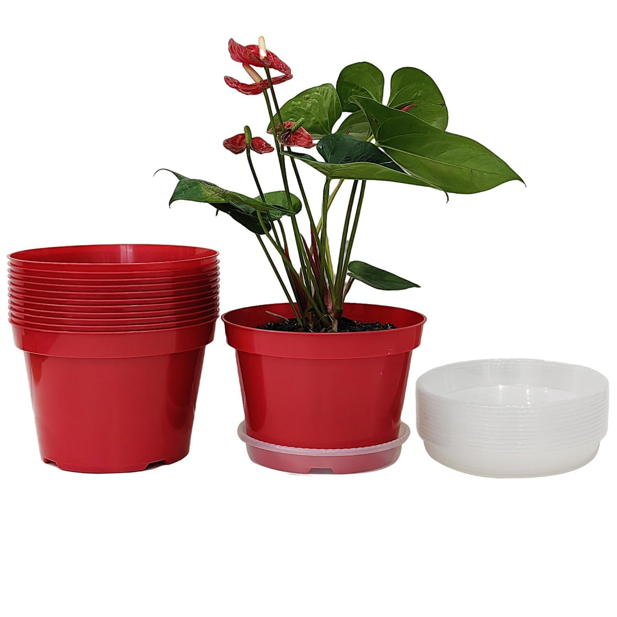 RooTrimmer 8-inch red pot with clear saucer for easy drainage monitoring.