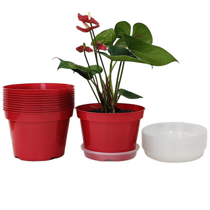 RooTrimmer 8-inch red pot with clear saucer for easy drainage monitoring.